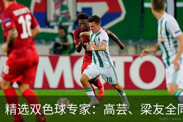 精选双色球专家：高芸、梁友全同中二等279万！