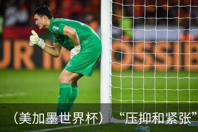 （美加墨世界杯）“压抑和紧张”中的伊朗队首秀