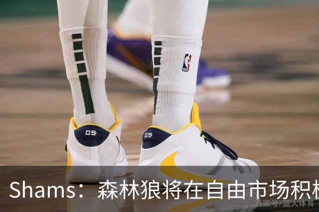 Shams：森林狼将在自由市场积极补强4号位 但他们只能提供底薪